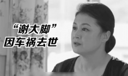 娱乐圈大型吃瓜群众小说,瓜田里的明星秘闻