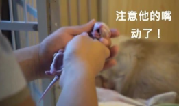 生孩子搞笑视频,搞笑视频集锦回顾